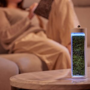 Moss Air / Bring Nature in Your Space